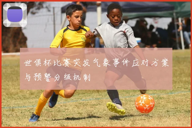 世俱杯比赛突发气象事件应对方案与预警分级机制
