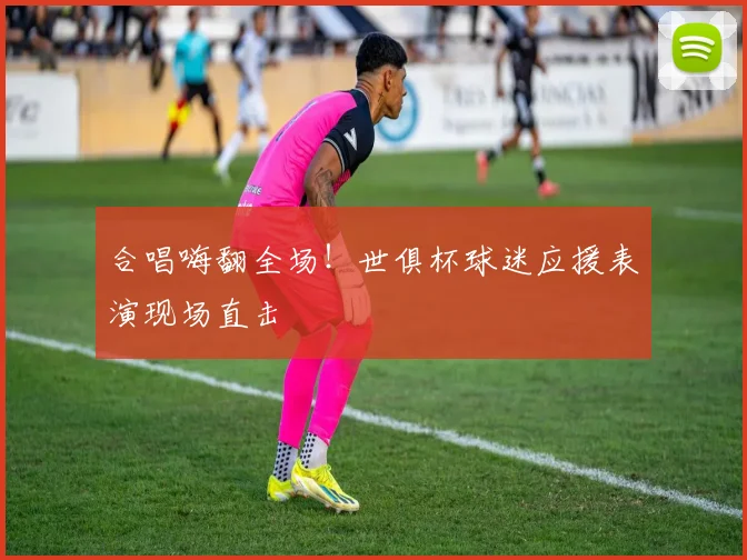 合唱嗨翻全场！世俱杯球迷应援表演现场直击