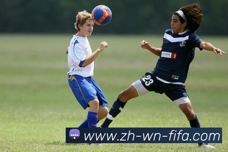 App Interface Preview